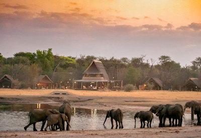 Safari in Hwange National Park